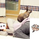 달그니