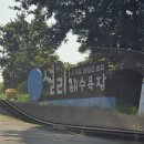 설리해수욕장 | 여름 휴가지 남해 설리해수욕장 후기 취사가능 평상 대여 및 샤워장 이용