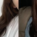 프로헤어스칼렛