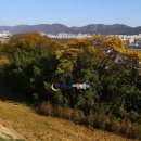 울산약사제방유적전시관 Daum카페