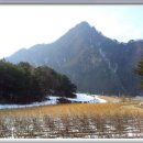 새들민박 이미지