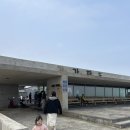 제주 여행 - &#34;가파도 여행, 청보리&#34; , 2편