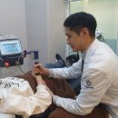 금정경희한의원 이미지