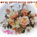 동삭초교 앞 이미지