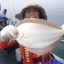 신신민박 이미지