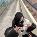 원동달팽이 이미지