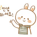 대전대정초교 이미지