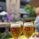 오비맥주노동조합 | 스텔라 맥주 고메챌리스 셰프에디션 홈파티 후기