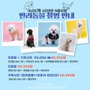 대전 펫페어 / 행사 포토존 / 작가동반 인화서비스 포토존 / 반려견 프로필 후기