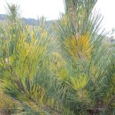 남송농원 이미지