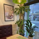 본죽&비빔밥 울산천상점 이미지