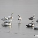 금호강1 이미지