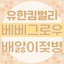 리토탈시스템 | 그린핑거 베베그로우 배앓이젖병 써보니 넘 좋아요!