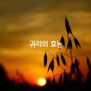 ﻿귀리의 효능 6가지 이미지