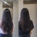 루더비코헤어 | 평택헤드스파 루더비코헤어 방문 후기