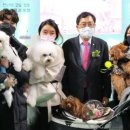 어서오시개 이미지