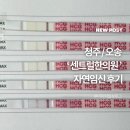 청주 센트럴한의원 내돈내산, 배란 11~15일차 한약 먹고 임신한 솔직후기