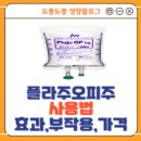 오피주 티스토리