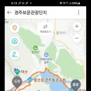 숲머리 이미지