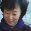 한보경 - 행복하고 존엄한 무단횡단을 위하여 이미지