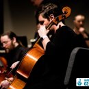 첼로 1:1 맞춤레슨 이미지