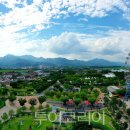 신나게 따라하는 k-POP 이미지