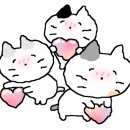 쉐프의생안심탕수육 이미지
