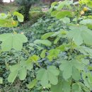 덕풍중학교 이미지