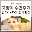 24시연동물의료센터 이미지