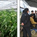 금수강산환경 이미지