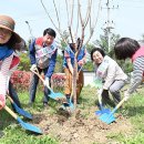 삼산교통공원 이미지