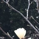 차항1리 마을회관 이미지