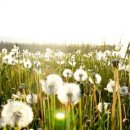 조은본 주식회사 이미지