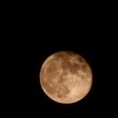 반디불이 민박 이미지