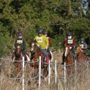 황골목장 이미지