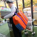 독스맘 | 강아지 캠핑 가방 배우 이기우님 개나리독스라이프 구매후기