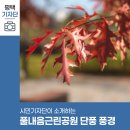 풀내음근린공원 이미지