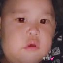 유나이모네 이미지