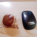 푸르담농장 | [서울] 건대 헬로마카롱 마카롱맛집 +역전우동 김치우동,명란미니덮밥 솔직한 후기