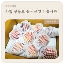 문경 감홍사과, 문경사과 대박농원 당도 좋은 사과 후기