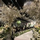 강동농협 | 암행투어 후기 2탄 송파 강동 웨딩홀 : 더컨벤션 송파문정 그랜드볼룸 아모르홀