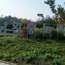 석남완충녹지공원 이미지