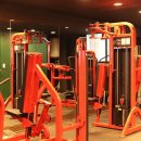 짐뮤즈PT 이미지