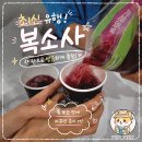 비율 | 복소사 비율 이렇게 드셔보세요! 실패 없는 황금비율 후기