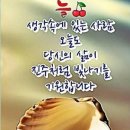 김세현과 좋은 친구들 이미지