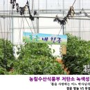농림수산식품부 저탄소 녹색성장 #1 : 경운 영농 VS 무경운 영농