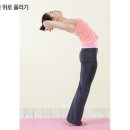 쉬운요가 이미지