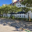 격동초등학교 이미지