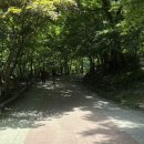 서화대대 | 강천산(剛泉山), 설씨부인송덕비&권선문비, 부도전