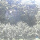 나무드론 - 중구 종가로 313 | 나무드론